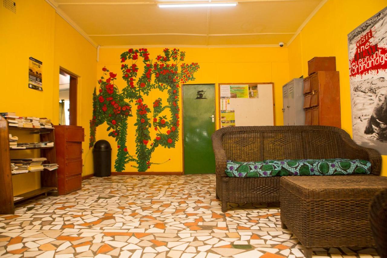 Hostel Lusaka Backpackers Zewnętrze zdjęcie